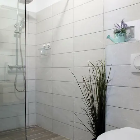 公寓 Borghetto 温克兰