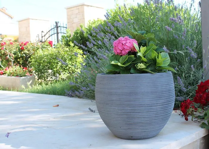 Apartman Borghetto *